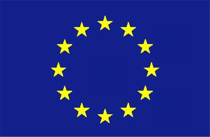 European Union public procurement programmes